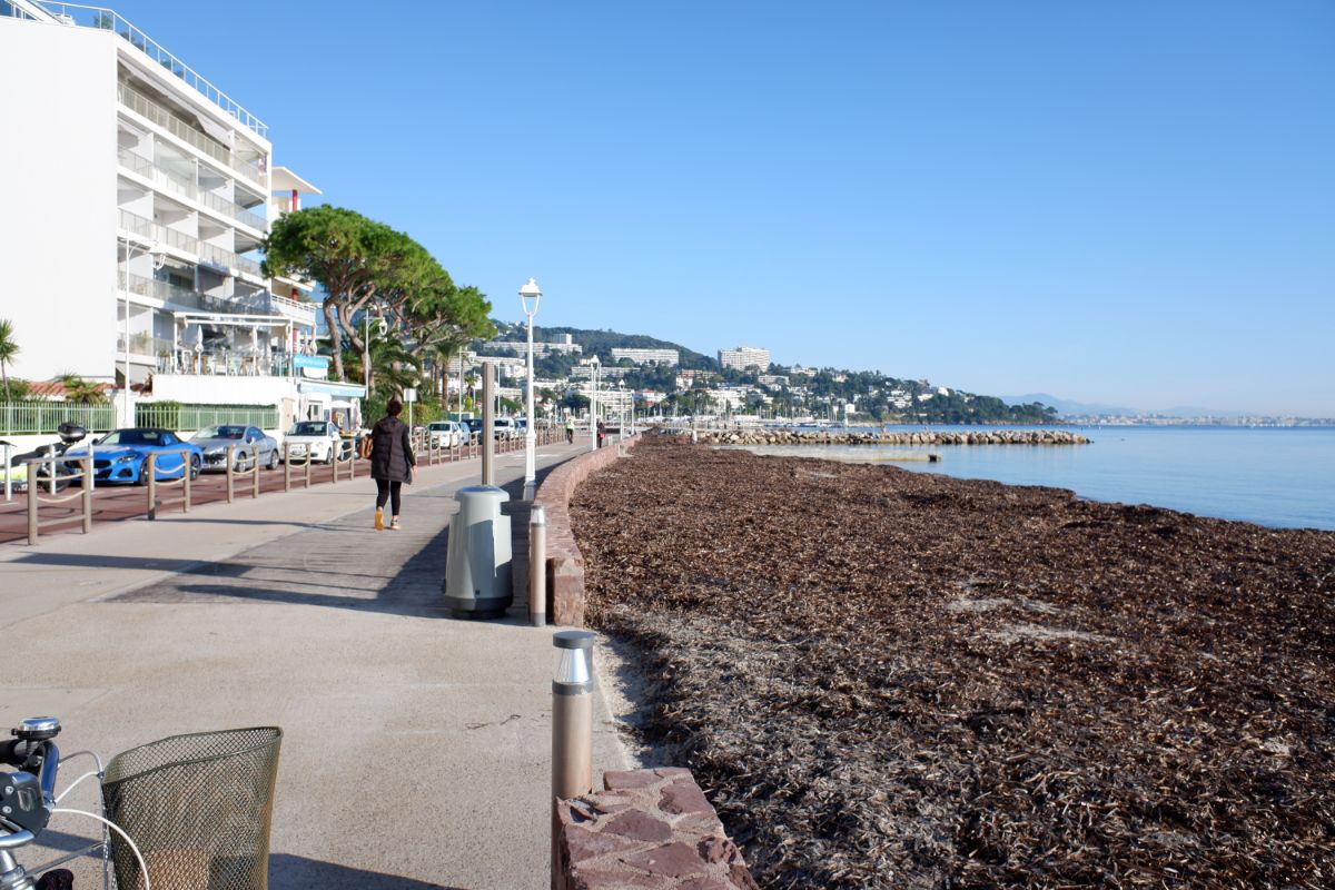 Croisette Cannes looking towards Juan-les-Pins and Cap d'Antibes